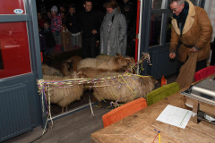 Opening Bongerd - 057